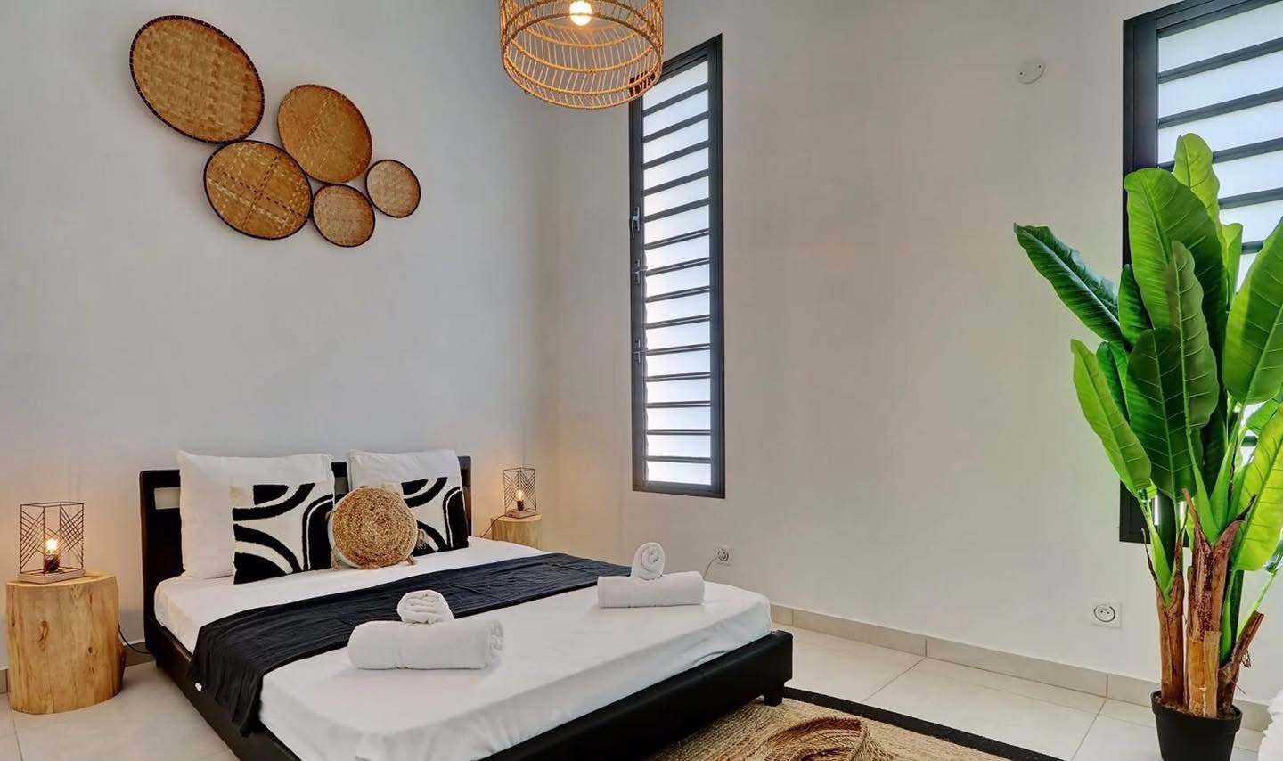 Chambre spacieuse avec décoration en vannerie et grand palmier