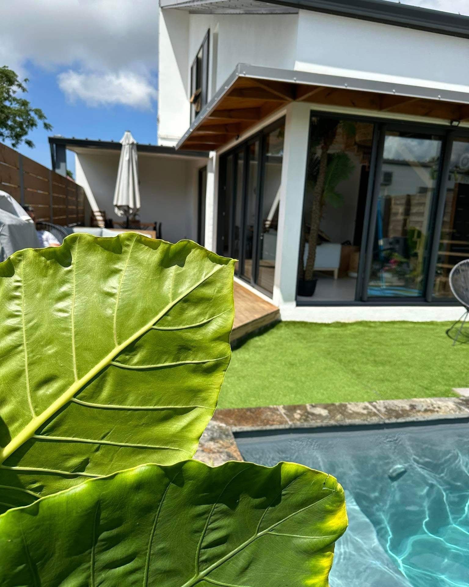 Feuille tropicale au premier plan avec la piscine et la villa